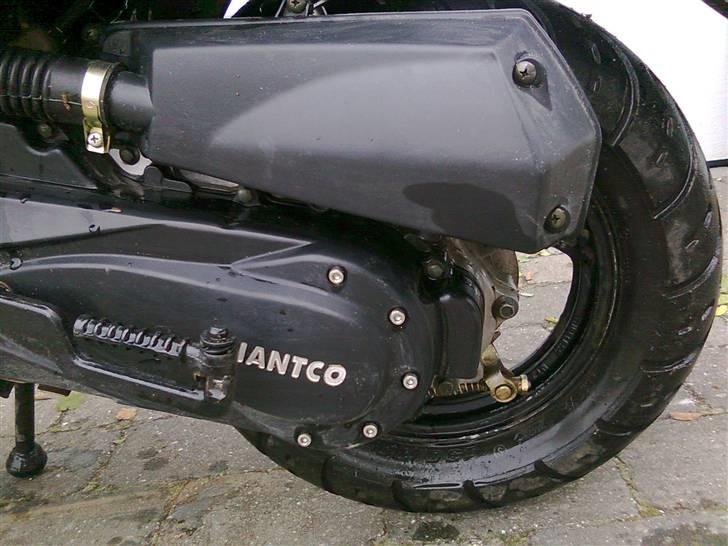 Giantco G-buddy billede 6