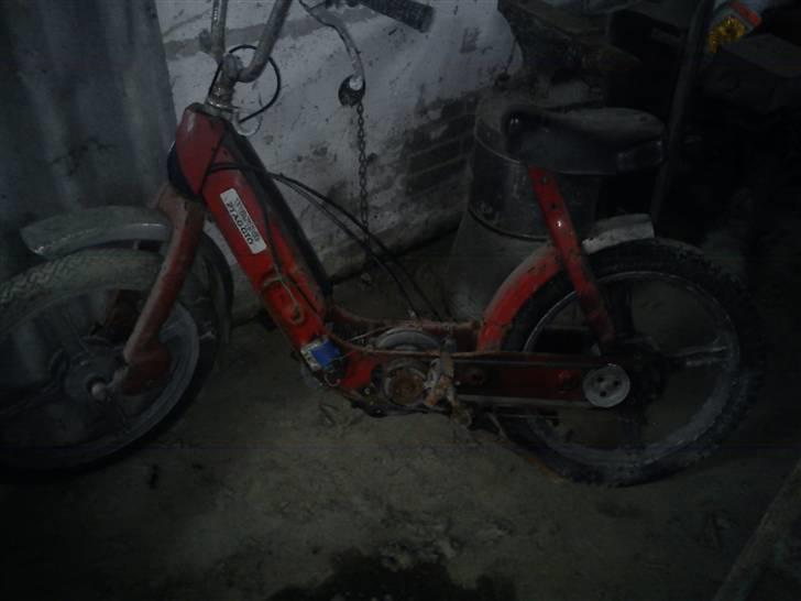 Vespa Caio  billede 1