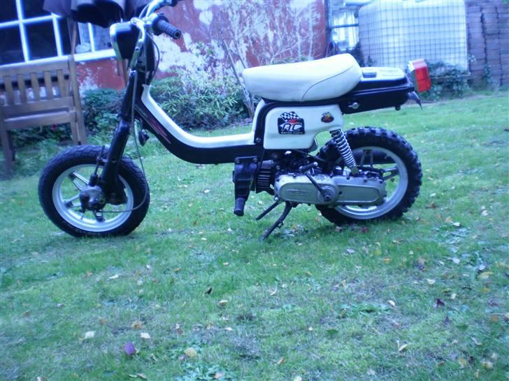 Suzuki fz50 billede 2