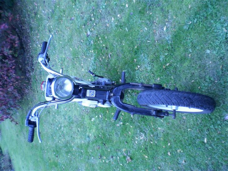 Suzuki fz50 billede 3