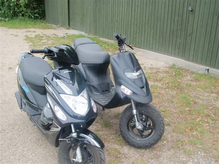 Giantco G-buddy billede 8