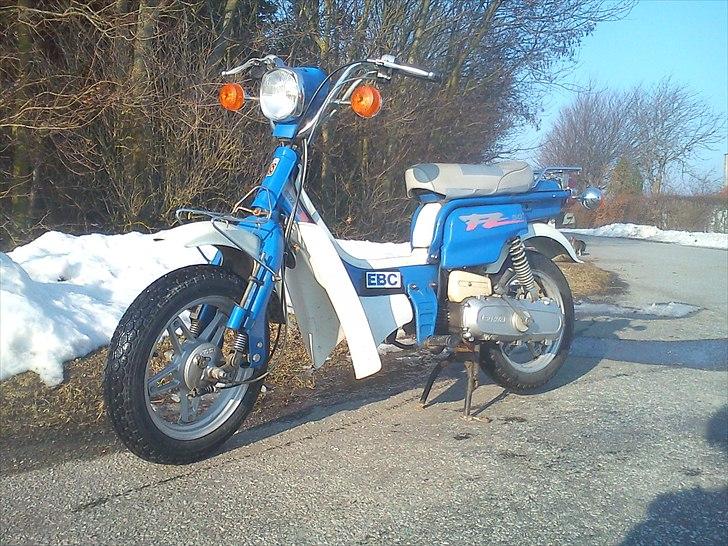 Suzuki FZ50 ~SOLGT~ billede 1