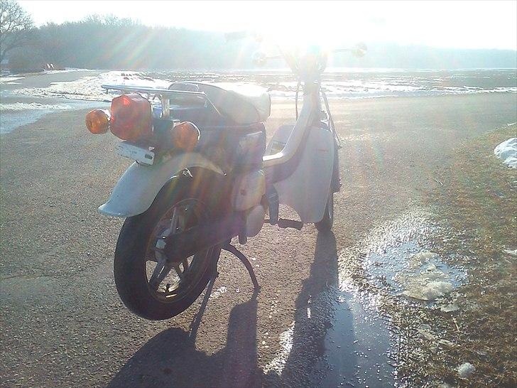 Suzuki FZ50 ~SOLGT~ billede 3