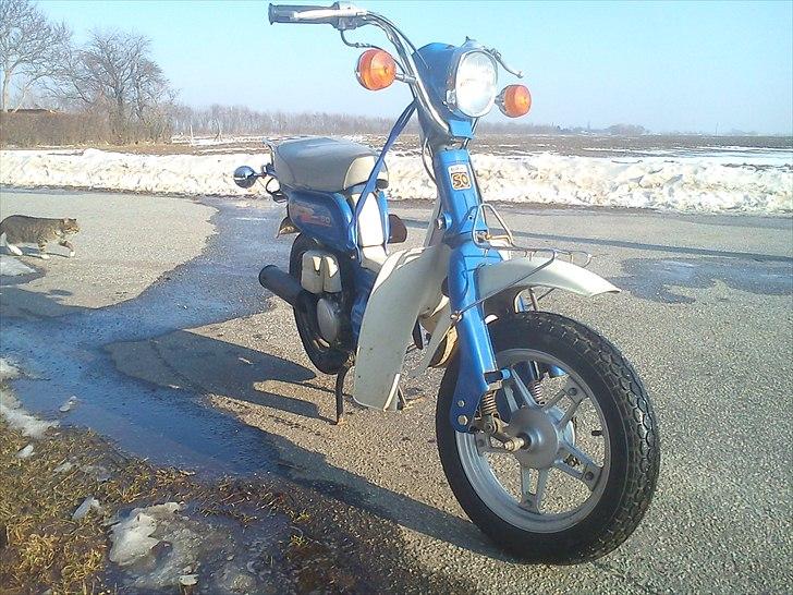 Suzuki FZ50 ~SOLGT~ billede 4