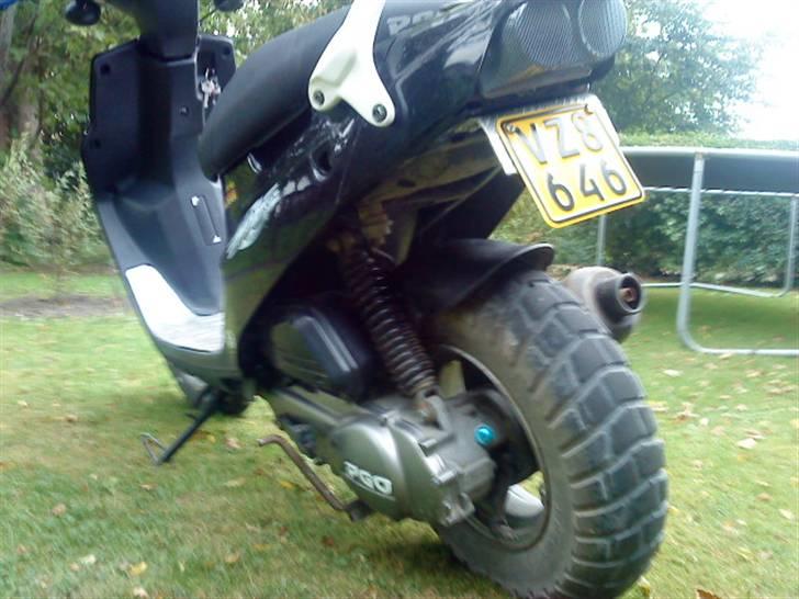 PGO hot 50 > BLACK LADY < - D. 4 - 10 - 10 med home made nr. plade holder billede 9