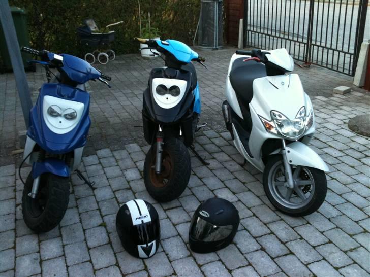 PGO Hot 50 'Zimba' =SOLGT= billede 15