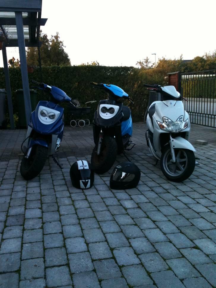 PGO Hot 50 'Zimba' =SOLGT= billede 16