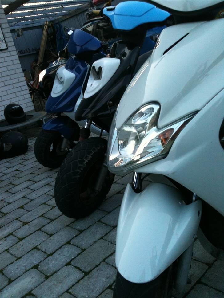 PGO Hot 50 'Zimba' =SOLGT= billede 17