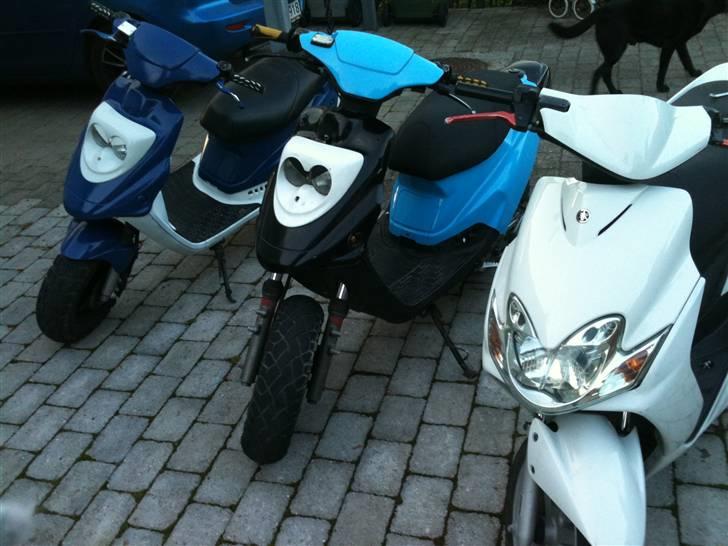 PGO Hot 50 'Zimba' =SOLGT= billede 18