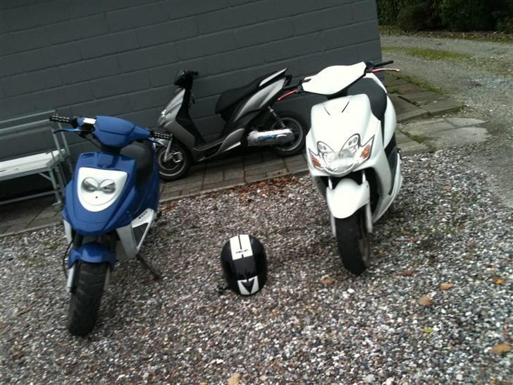 PGO Hot 50 'Zimba' =SOLGT= billede 19