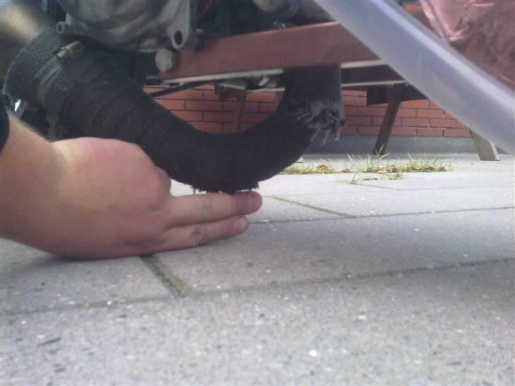 Honda SFX - dks. 3 stærkeste billede 6