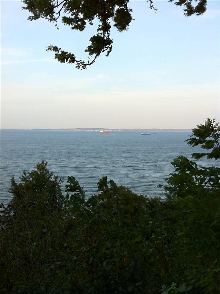 Derbi senda sm SOLGT billede 9