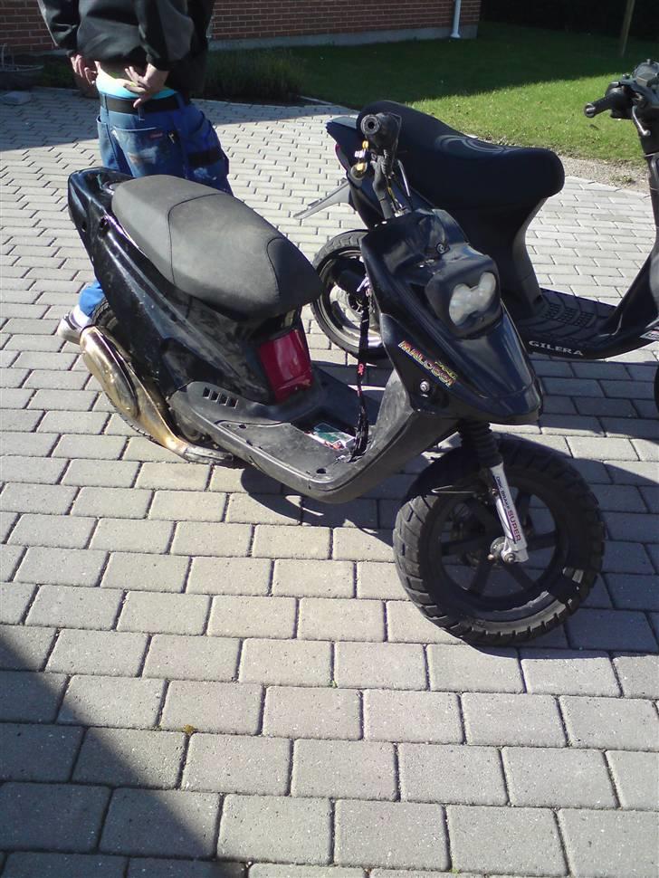 PGO hot 50 Elly byttet billede 2