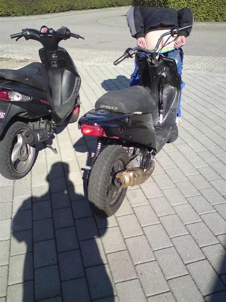 PGO hot 50 Elly byttet billede 3