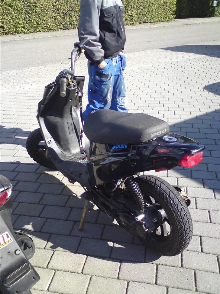 PGO hot 50 Elly byttet billede 4