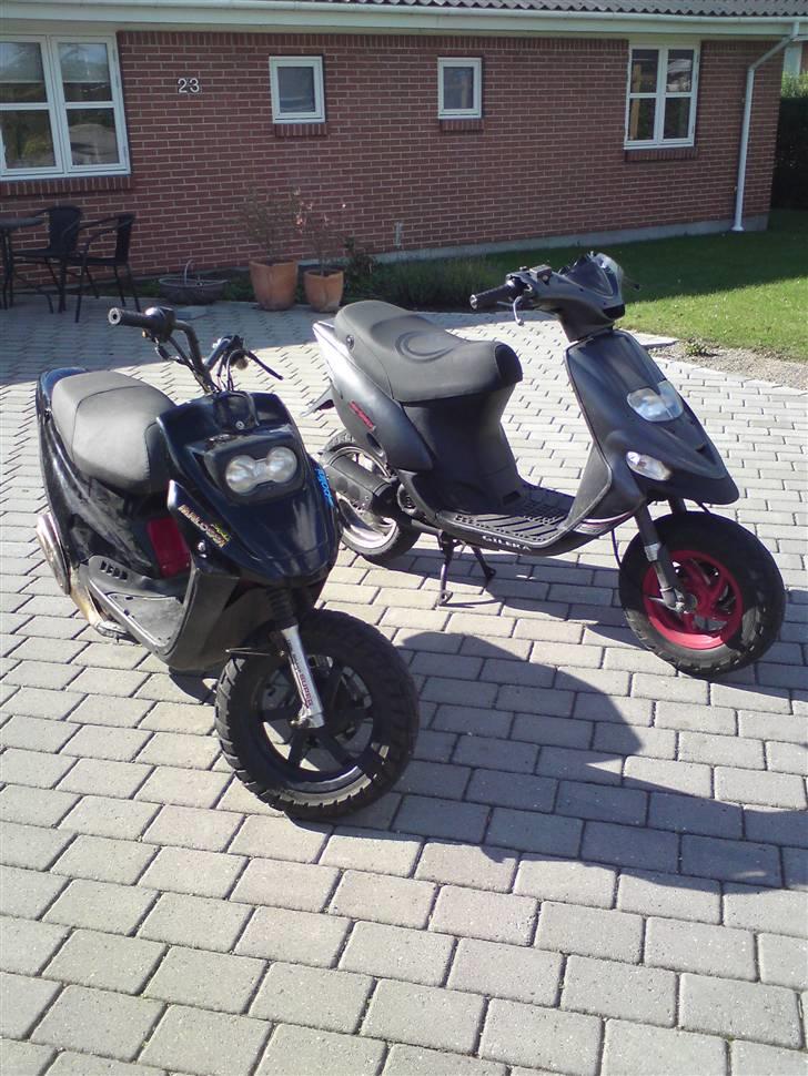 PGO hot 50 Elly byttet billede 5