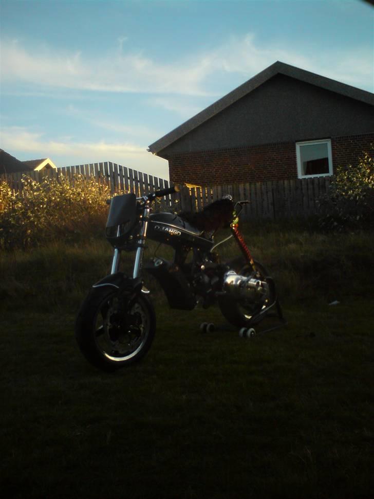 Suzuki Street magic LCDD  billede 11