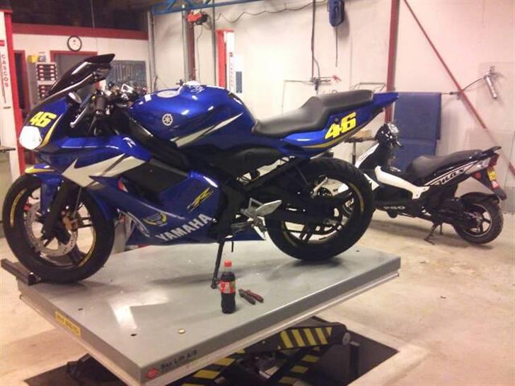 Yamaha tzr limited editionJulie! billede 5