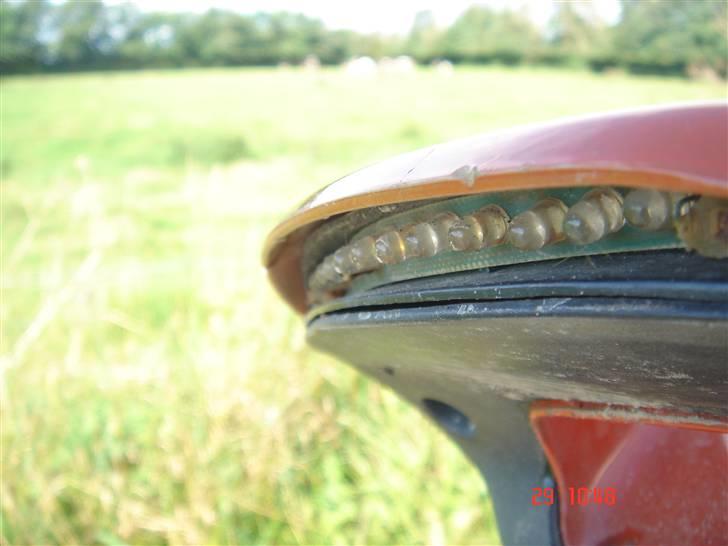 Adly Cat 50 @ Byttet billede 8