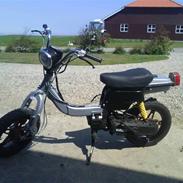 Suzuki FZ 50 (solgt)