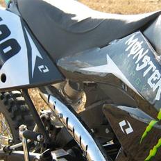 Pitpro Monster Energy Edition 2010