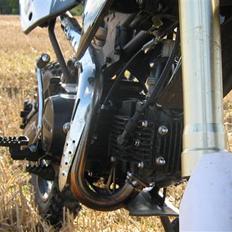 Pitpro Monster Energy Edition 2010