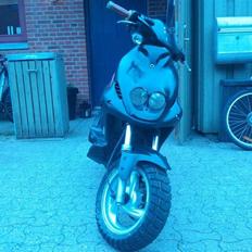 PGO PMX (SOLGT)