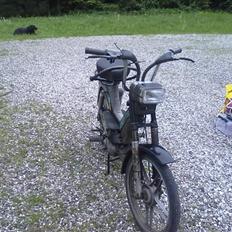 Puch Maxi k  P1 BYTTET