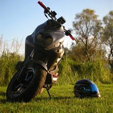 PGO PMX Naked Carbon 