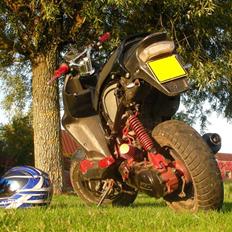 PGO PMX Naked Carbon 