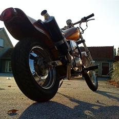 Regal raptor (byttet)