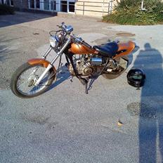 Regal raptor (byttet)