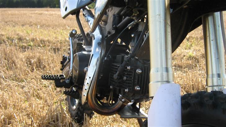 Pitpro Monster Energy Edition 2010 - August 2010 billede 3