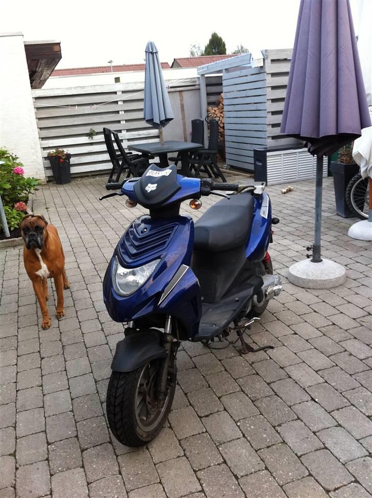 CPI oliver city billede 1