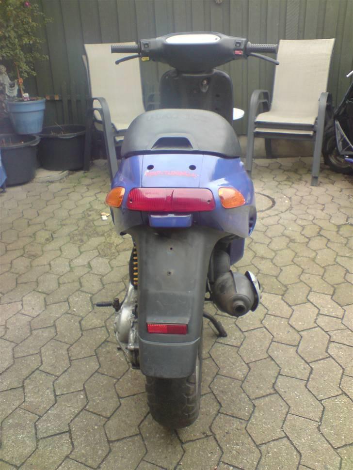 Piaggio Typhoon BYTTET billede 5