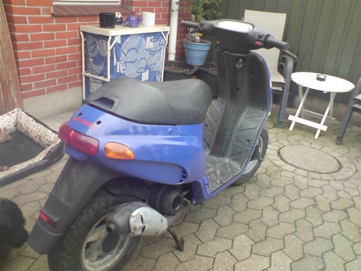 Piaggio Typhoon BYTTET billede 6