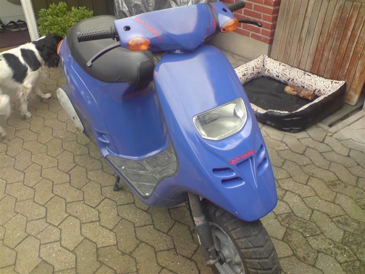 Piaggio Typhoon BYTTET billede 8