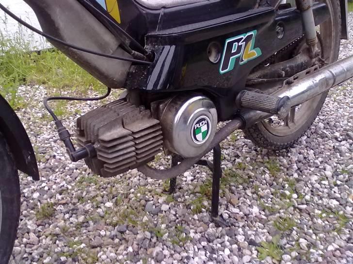 Puch Maxi k  P1 BYTTET billede 5