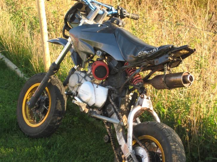 Shineray pitpro billede 2