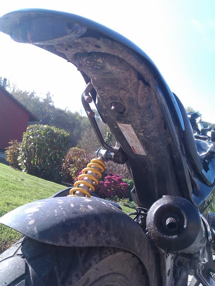 Suzuki street magic efter byttet billede 5