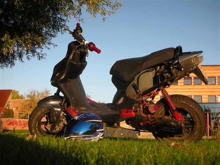 PGO PMX Naked Carbon  billede 2