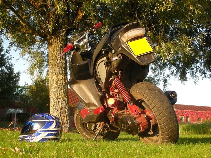 PGO PMX Naked Carbon  billede 3