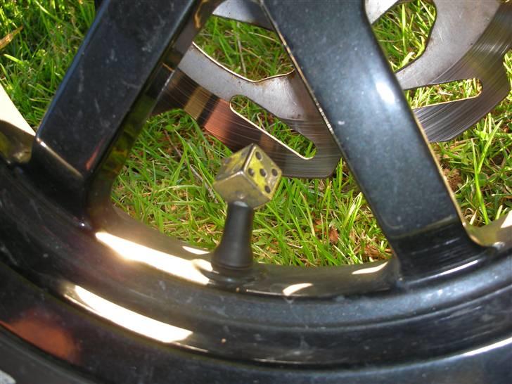 PGO PMX Naked Carbon  billede 9