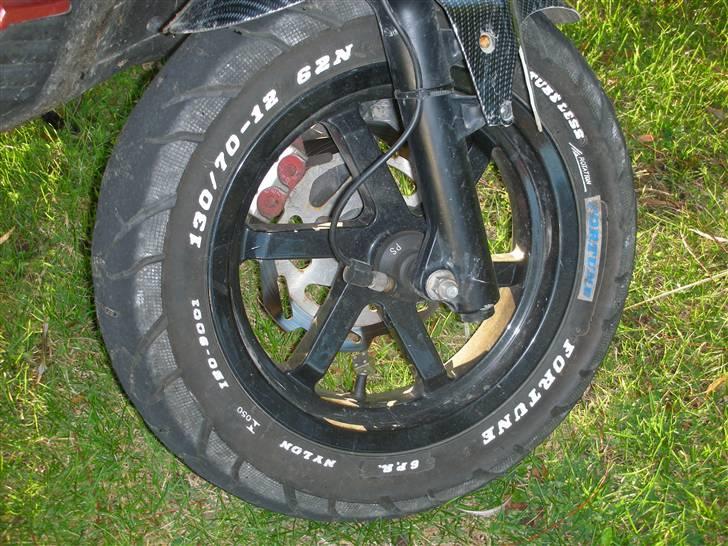 PGO PMX Naked Carbon  billede 10