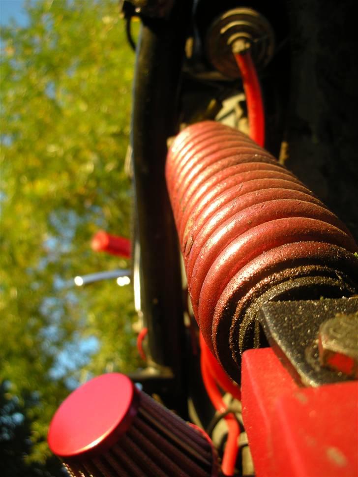 PGO PMX Naked Carbon  billede 13