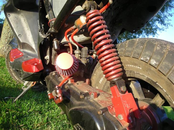 PGO PMX Naked Carbon  billede 15