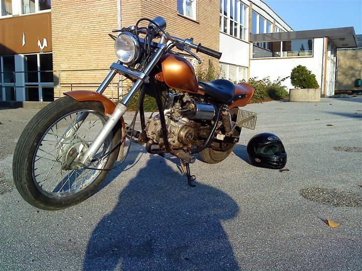 Regal raptor (byttet) billede 4