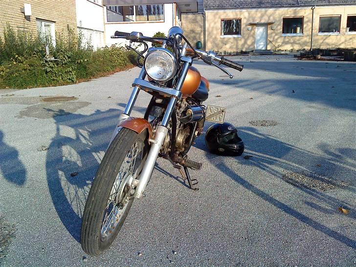 Regal raptor (byttet) billede 5