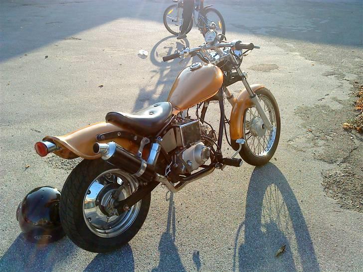 Regal raptor (byttet) billede 6