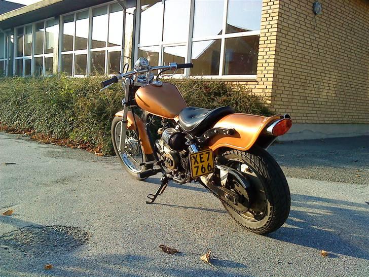 Regal raptor (byttet) billede 7